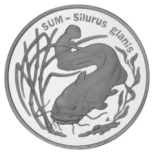 Srebrna moneta okolicznościowa; rewers – Zwierzęta świata: Sum (łac- Silurus glanis)