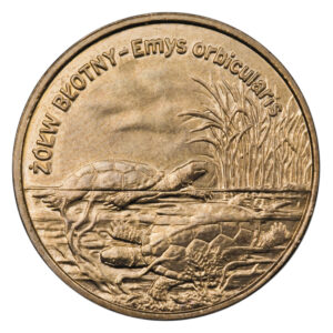 Moneta Nordic Gold; rewers – Zwierzęta świata: Żółw błotny - Emys orbicularis