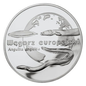 Srebrna moneta okolicznościowa; rewers – Zwierzęta świata: Węgorz europejski (łac. Anguilla anguilla)