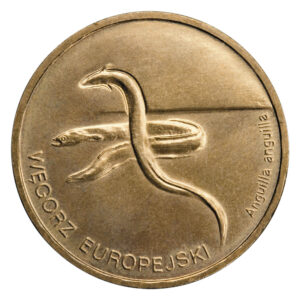Moneta Nordic Gold; rewers – Zwierzęta świata: Węgorz europejski (łac. Anguilla anguilla)