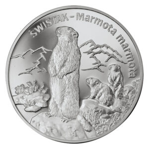 Srebrna moneta okolicznościowa; rewers – Zwierzęta świata: Świstak (łac. Marmota marmota)