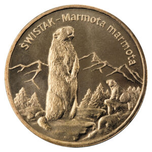 Moneta Nordic Gold; rewers – Zwierzęta świata: Świstak (łac. Marmota marmota)