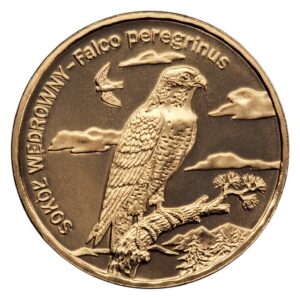 Moneta Nordic Gold; rewers – Zwierzęta świata: Sokół wędrowny (łac. Falco peregrinus)