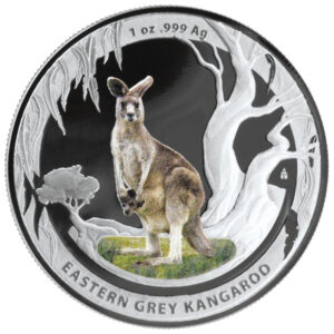 Kangur – Walabia Bennetta/Kangur olbrzymi Zestaw dwóch monet - polskiej i australijskiej