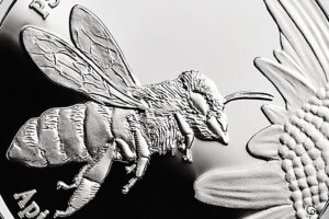 Detal srebrnej monety okolicznościowej – Zwierzęta Świata – pszczoła miodna